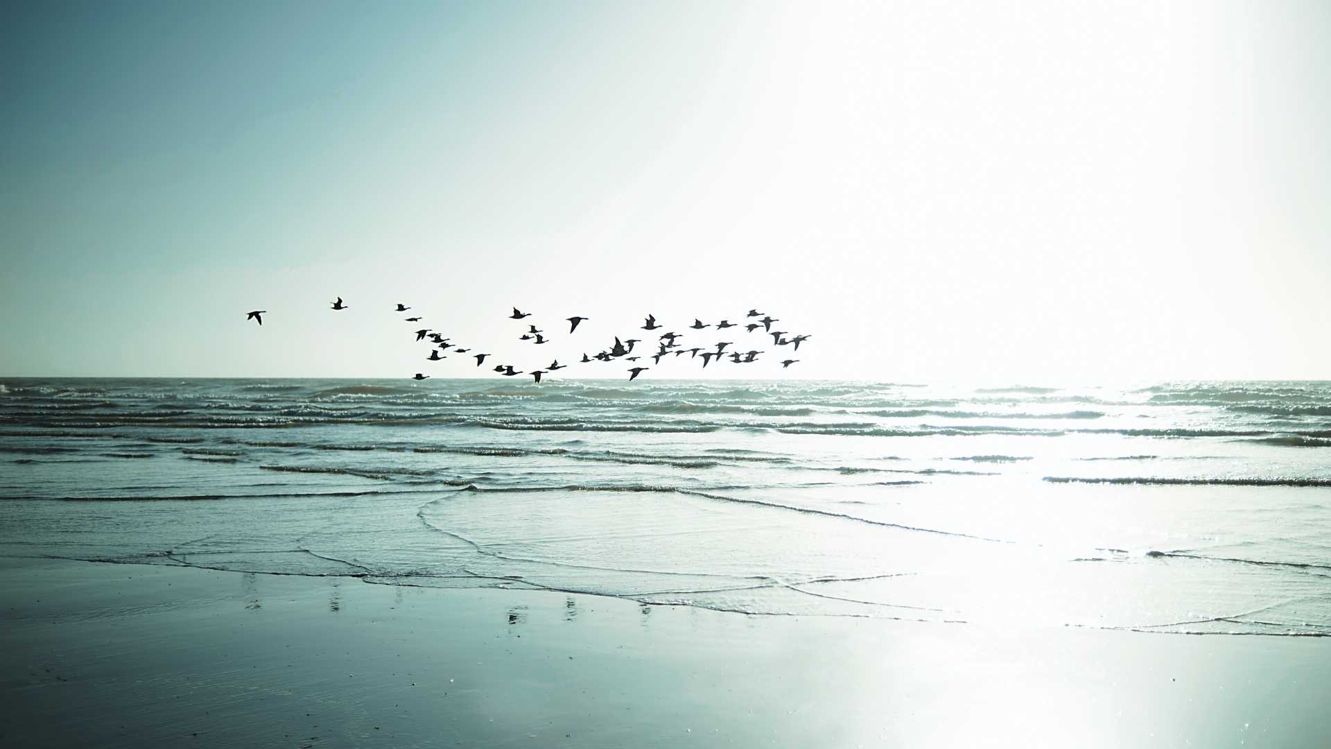 Academy-of-Intuitive-Living_16-9 (27)