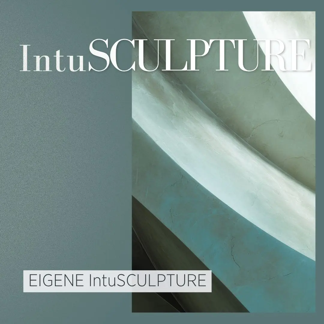 IntuSCULPTURE - Image 4